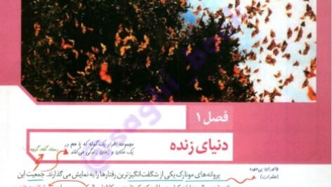 دانلود فایل PDF کتاب زیست شناسی جامع زیر ذره بین