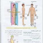 دانلود فایل PDF کتاب آناتومی عمومی علی والیانی