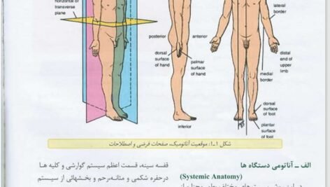 دانلود فایل PDF کتاب آناتومی عمومی علی والیانی