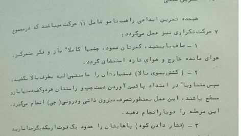دانلود فایل PDF کتاب هنرهای رزمی شائولین