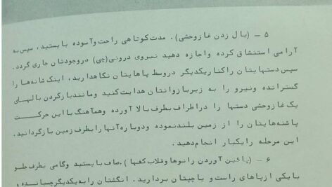 دانلود فایل PDF کتاب هنرهای رزمی شائولین