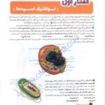 دانلود فایل PDF کتاب فاگو زیست دوازدهم تجربی فردین جوادی