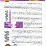 دانلود فایل PDF کتاب فاگو زیست دوازدهم تجربی فردین جوادی