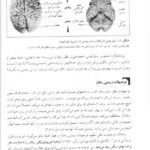 دانلود فایل PDF کتاب روانشناسی فیزیولوژیکی کالات یحیی سید محمدی