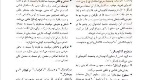 دانلود فایل PDF کتاب آناتومی گری برای دانشجویان جلد اول تنه