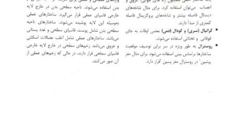دانلود فایل PDF کتاب آناتومی گری برای دانشجویان جلد اول تنه