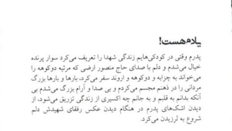 دانلود فایل PDF کتاب یادت باشد محمدرسول ملاحسنی
