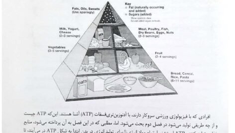 دانلود فایل PDF کتاب فیزیولوژی و تغذیه ورزشی دکتر عبدالحسین پرنو