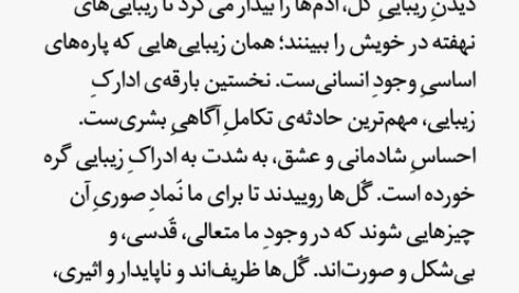 دانلود فایل PDF کتاب زمینی نو اکهارت تول