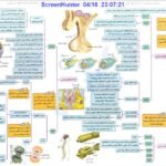 دانلود فایل PDF کتاب میگ میگ زیست یازدهم فردین جوادی