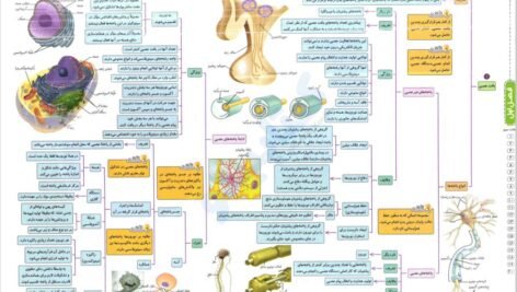 دانلود فایل PDF کتاب میگ میگ زیست یازدهم فردین جوادی