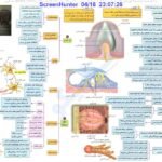 دانلود فایل PDF کتاب میگ میگ زیست یازدهم فردین جوادی