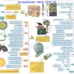 دانلود فایل PDF کتاب میگ میگ زیست یازدهم فردین جوادی
