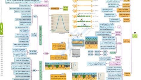 دانلود فایل PDF کتاب میگ میگ زیست یازدهم فردین جوادی